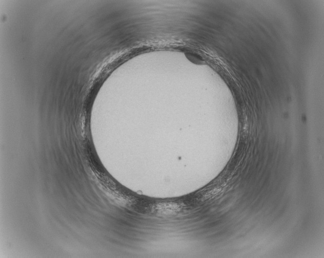 X0000071850636200607290133