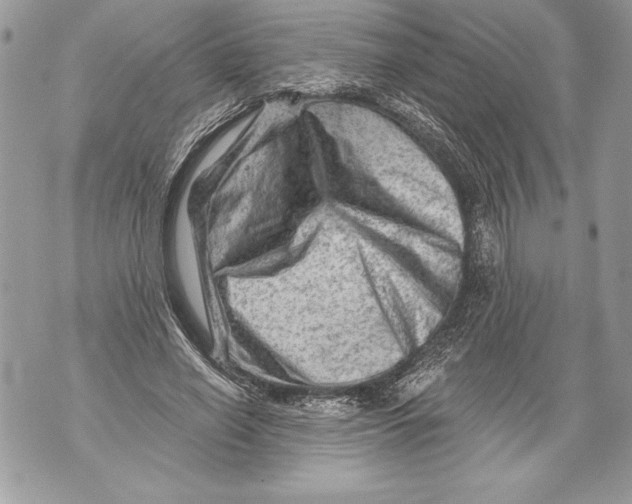 X0000071850638200607290133