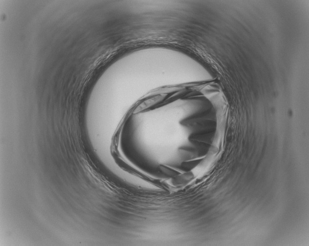 X0000071850639200607290133