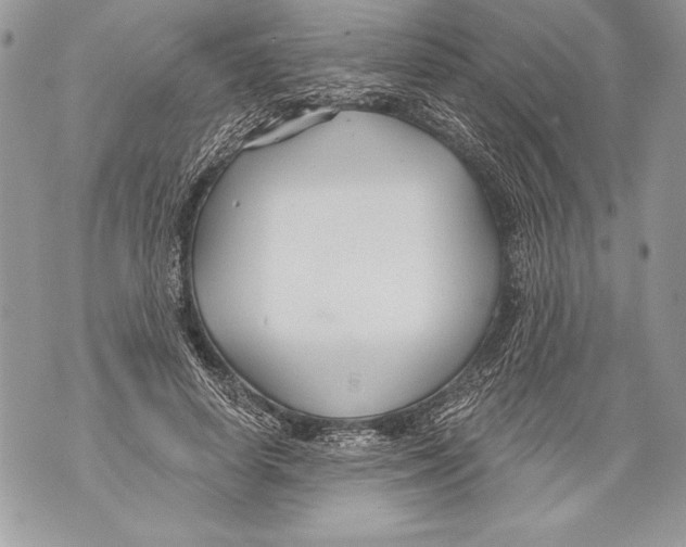 X0000071850642200607290133