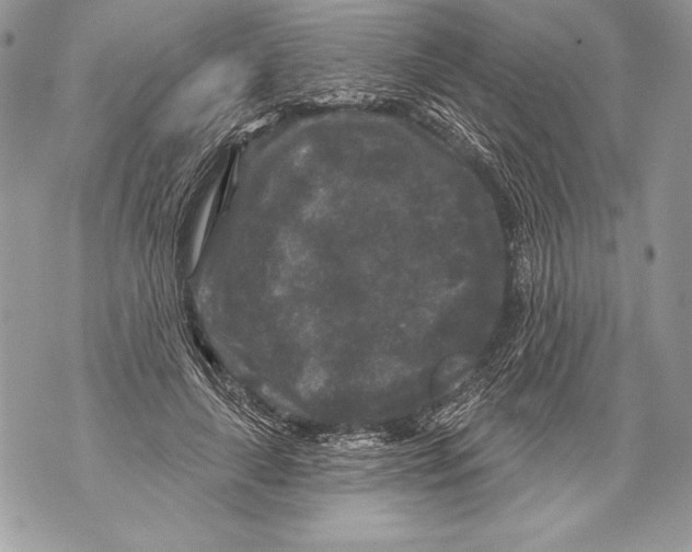 X0000071850643200607290133