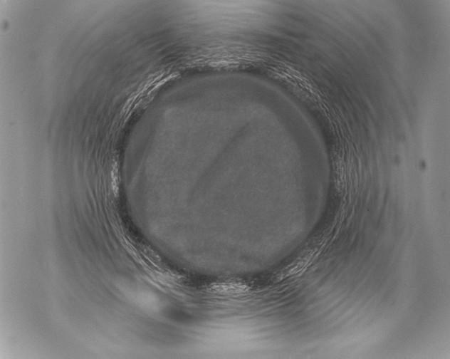 X0000071850644200607290133