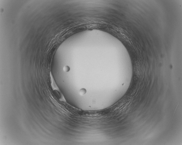 X0000071850645200607290133