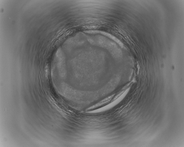 X0000071850647200607290133