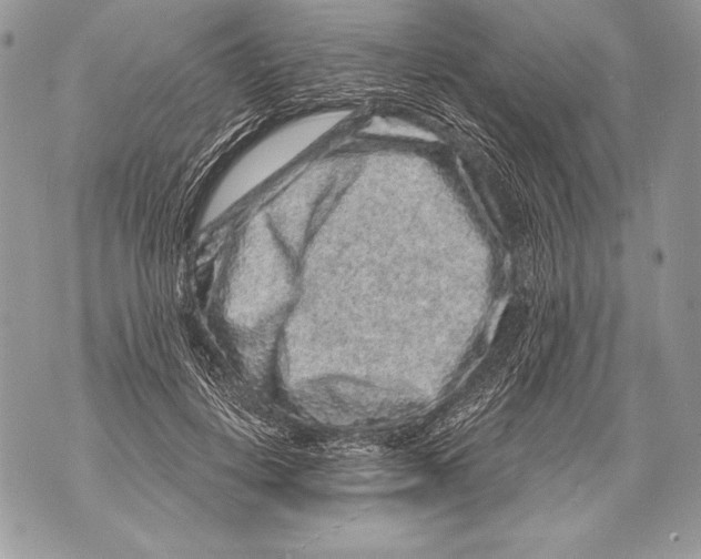 X0000071850648200607290133