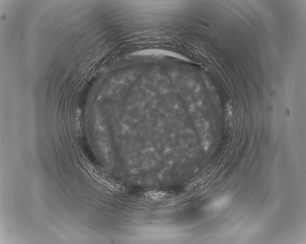 X0000071850650200607290133