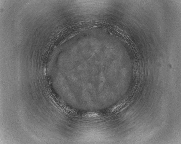 X0000071850651200607290133