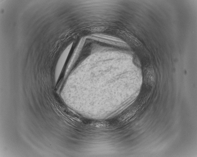 X0000071850655200607290134