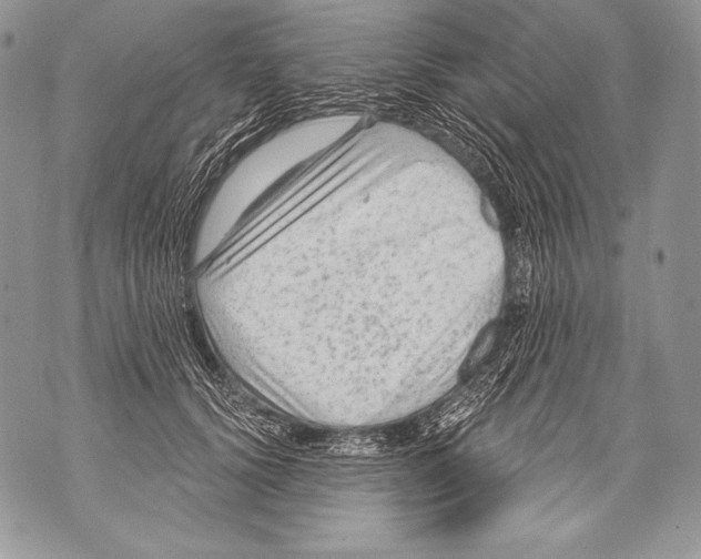 X0000071850656200607290134