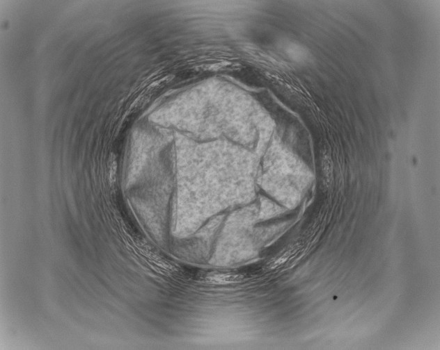 X0000071850657200607290134