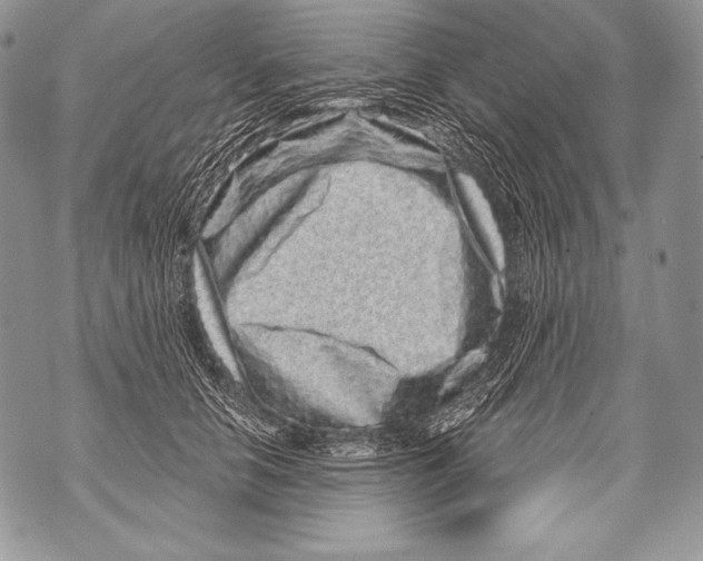 X0000071850658200607290134