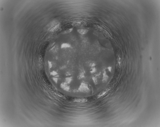 X0000071850659200607290134