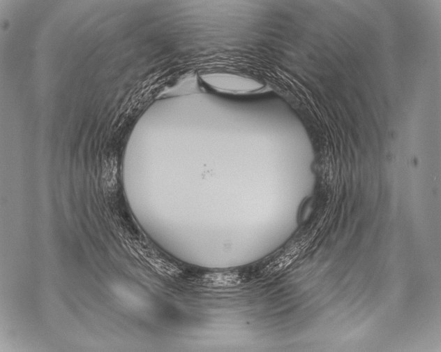 X0000071850660200607290134