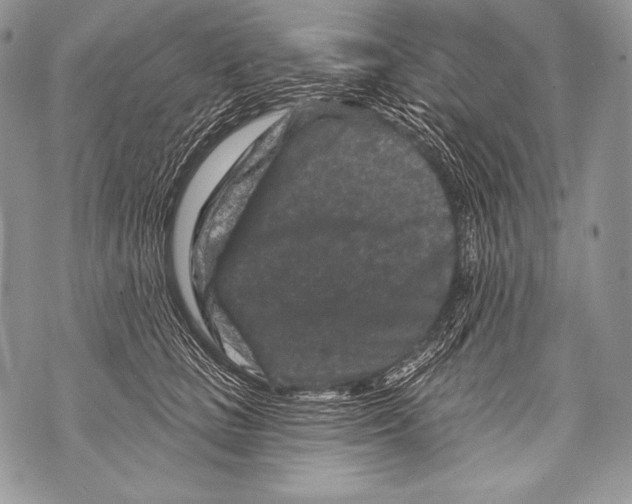 X0000071850661200607290134