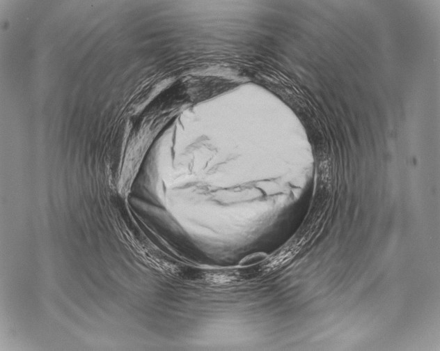 X0000071850662200607290134