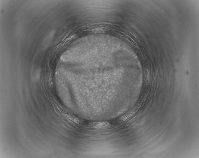 X0000071850663200607290134