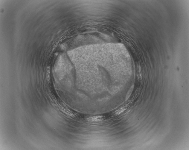 X0000071850664200607290134