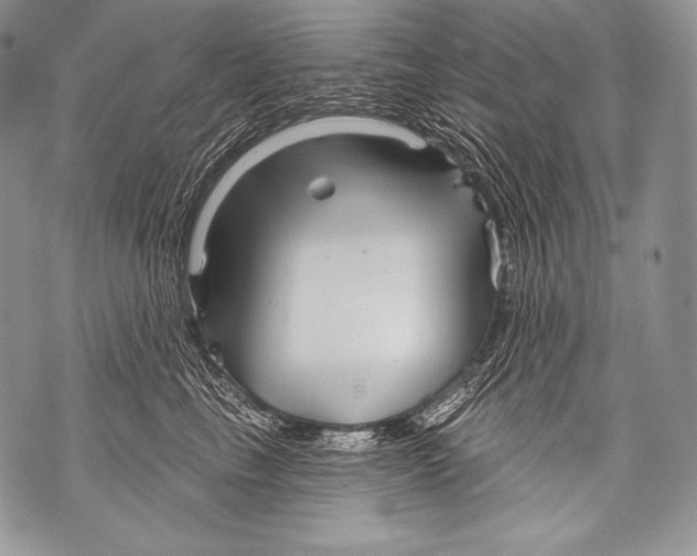 X0000071850665200607290134