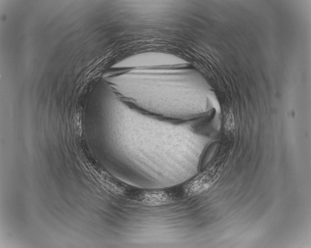 X0000071850666200607290134