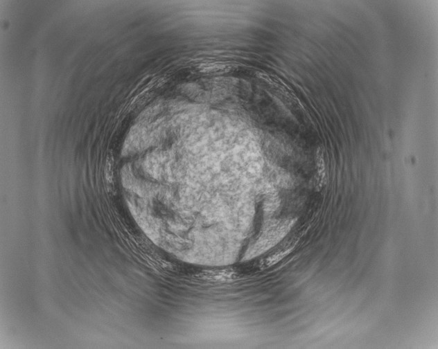 X0000071850667200607290134