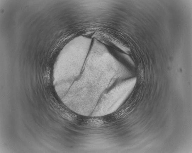 X0000071850668200607290134