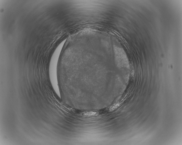 X0000071850669200607290134