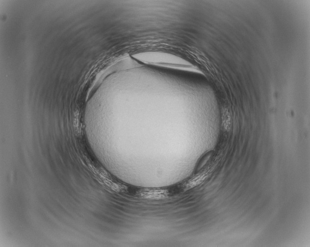 X0000071850670200607290134