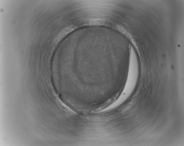 X0000071850673200607290133