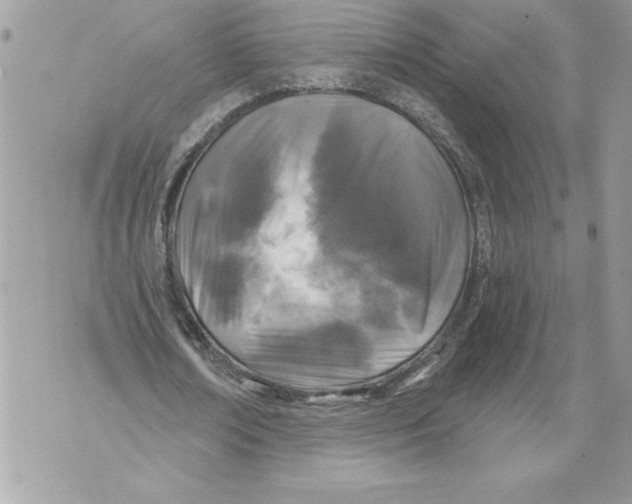 X0000071850674200607290133