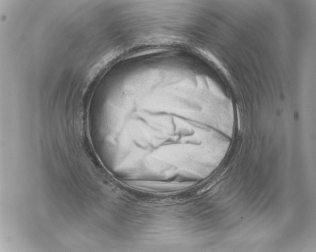 X0000071850675200607290133