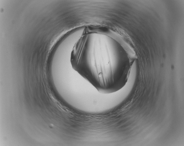 X0000071850676200607290133