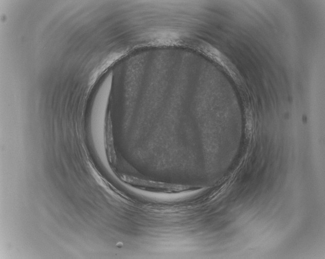 X0000071850677200607290133