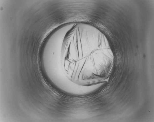 X0000071850680200607290133