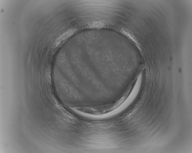 X0000071850681200607290133