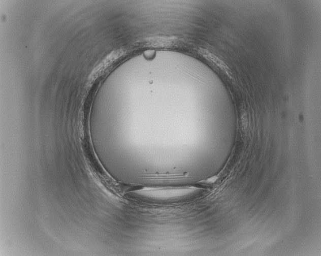 X0000071850682200607290133