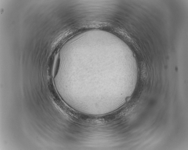 X0000071850683200607290133