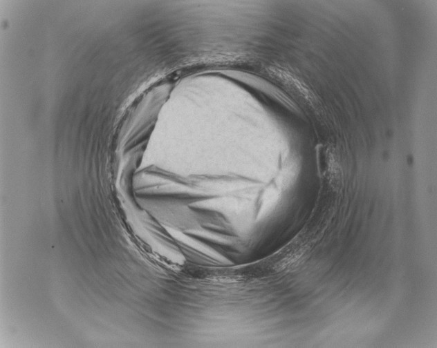 X0000071850684200607290133