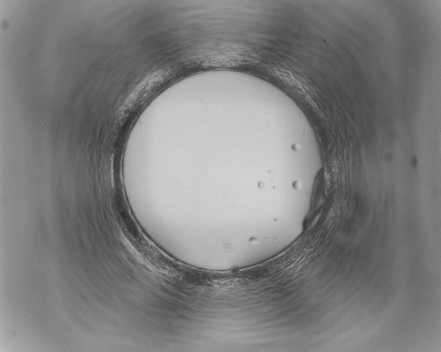 X0000071850686200607290133