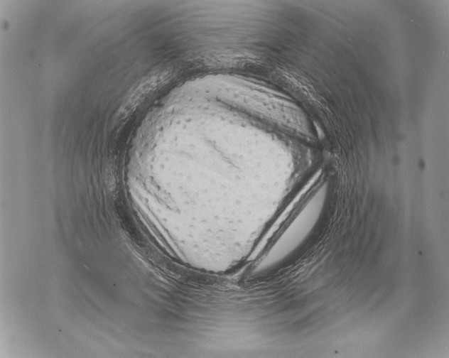 X0000071850687200607290133