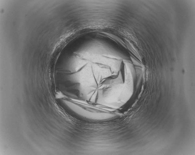 X0000071850688200607290133