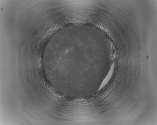 X0000071850689200607290133