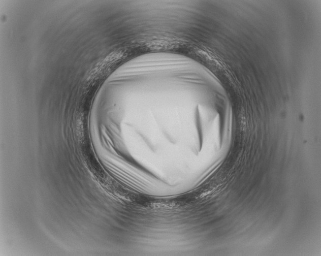 X0000071850690200607290133