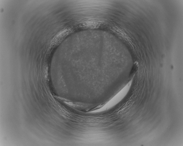 X0000071850693200607290133