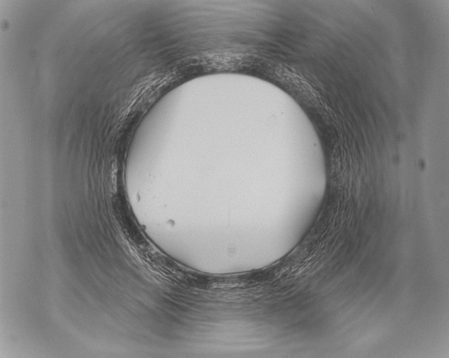 X0000071850694200607290133