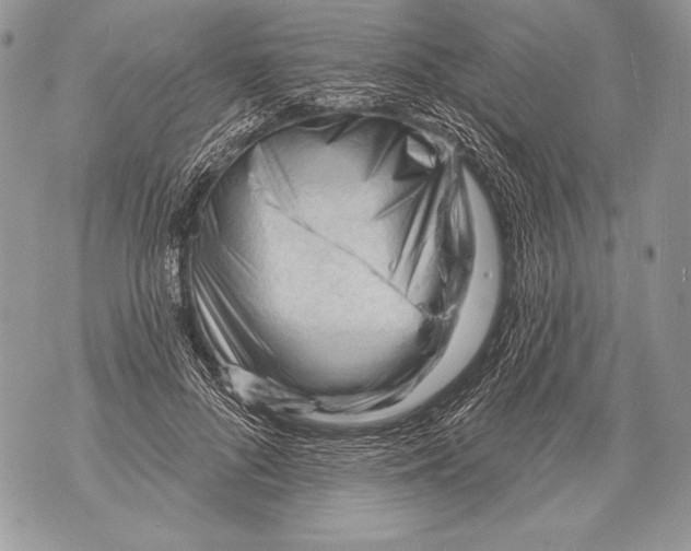 X0000071850696200607290133