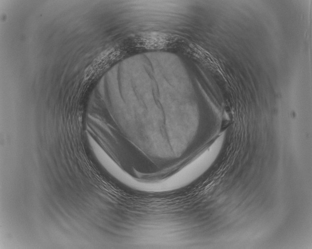 X0000071850697200607290133