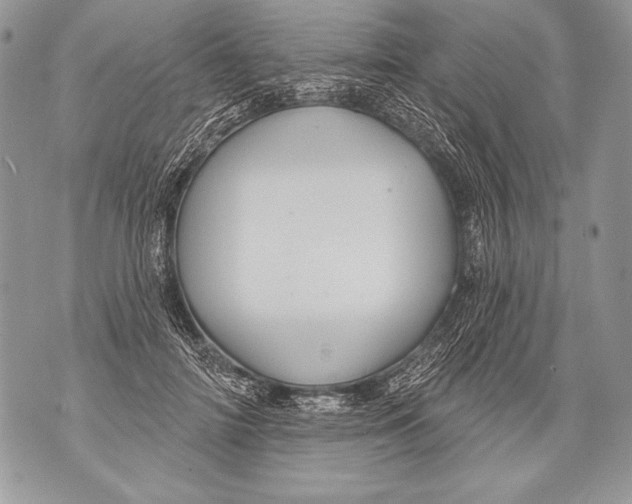 X0000071850698200607290133