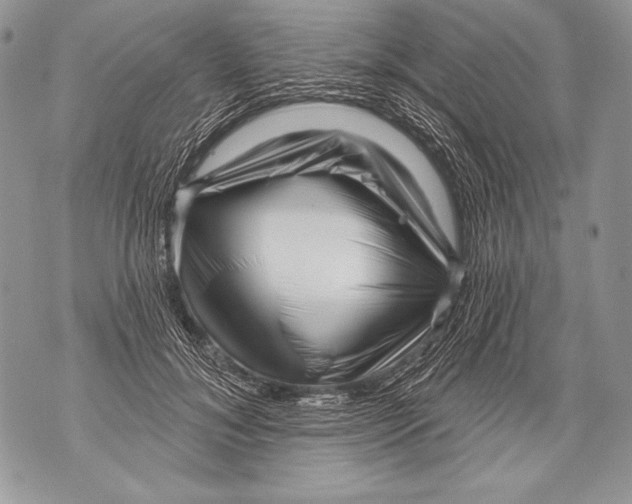 X0000071850700200607290133