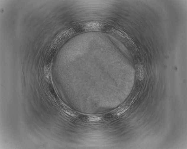 X0000071850701200607290133