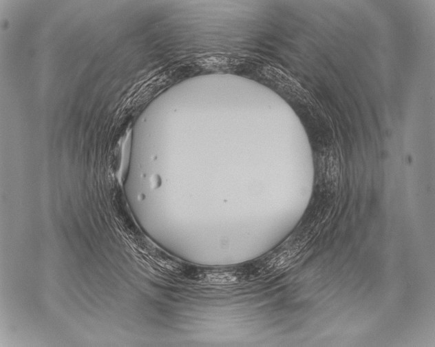 X0000071850702200607290133